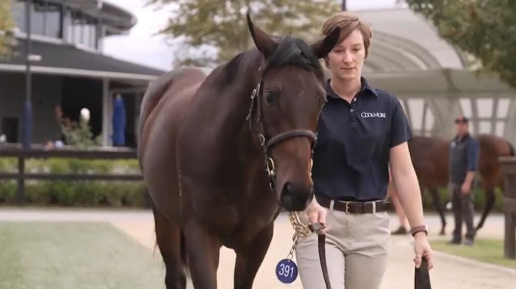 Quinceañera, la potra de Winx valorada en 10 millones de
