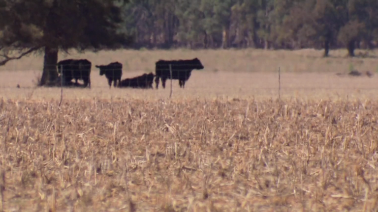 Se han emitido advertencias de sequía para más de la