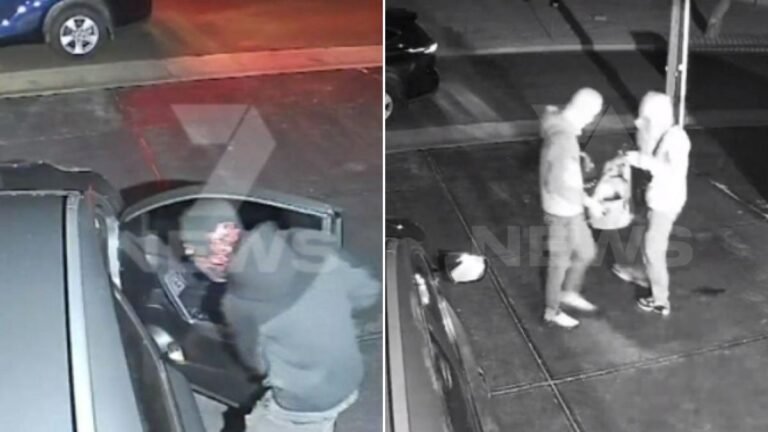 Un coche familiar fue robado en un robo de fin