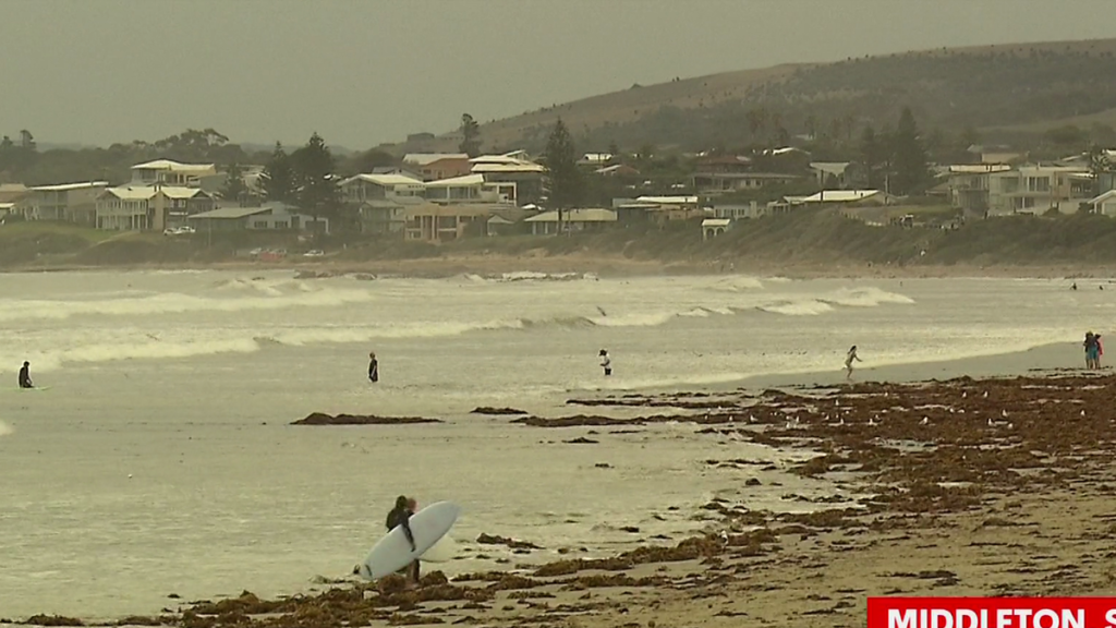 Un surfista adolescente escapó de las fauces de un tiburón