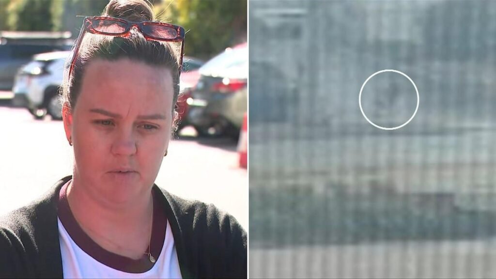 Una enfermera revela cómo intentó salvar a un conductor de