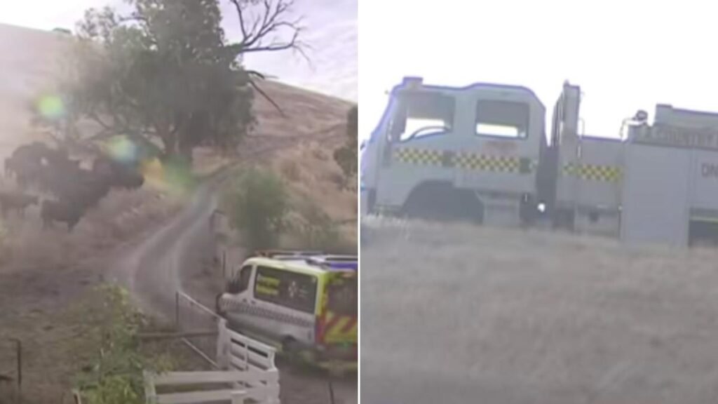 Una joven resultó gravemente herida después de que un vehículo