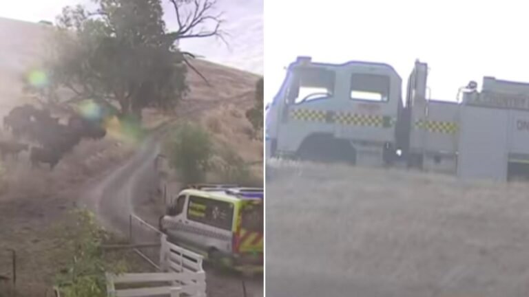 Una joven resultó gravemente herida después de que un vehículo