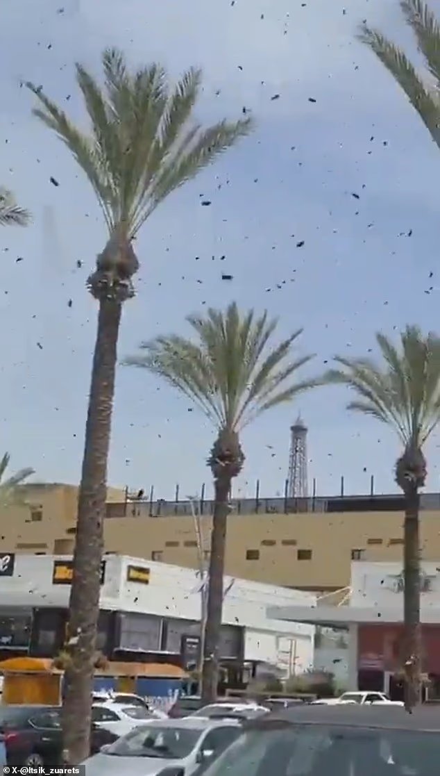 Une invasion d'abeilles a balayé Israël dans des scènes horribles