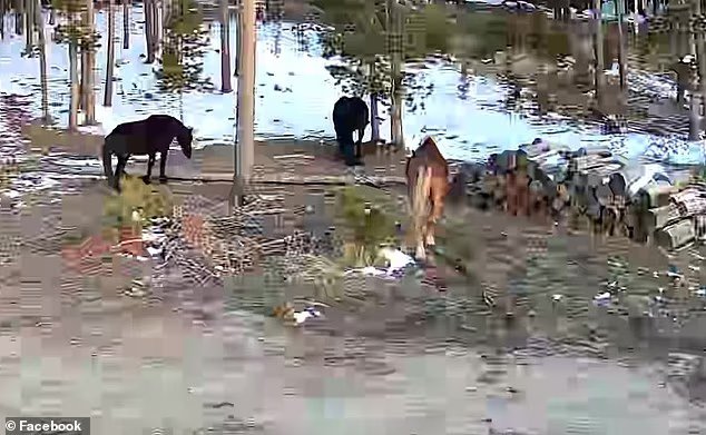 Une querelle éclate dans une communauté montagnarde après qu'un homme