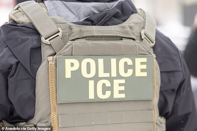 Une raison folle pour laquelle les migrants illégaux ne peuvent