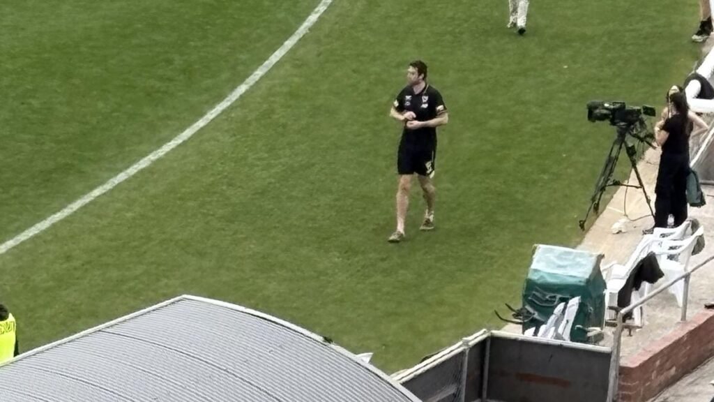 AFL World se une a la estrella de St Kilda,