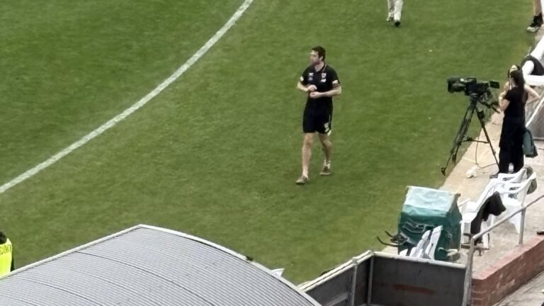 AFL World se une a la estrella de St Kilda,