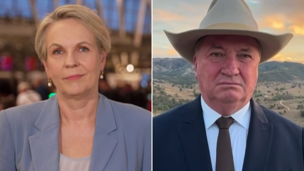 Barnaby Joyce compara los cambios en el impuesto laboral con