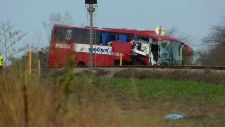 Conductor de autobús Greyhound declarado inocente en un accidente fatal