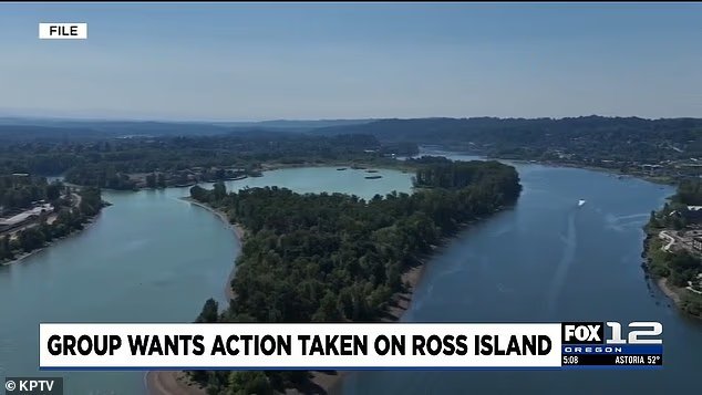 Dans le véritable "Jurassic Park" américain caché sur une île
