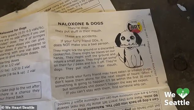 Des bénévoles de Wake Seattle distribuent des dépliants expliquant aux