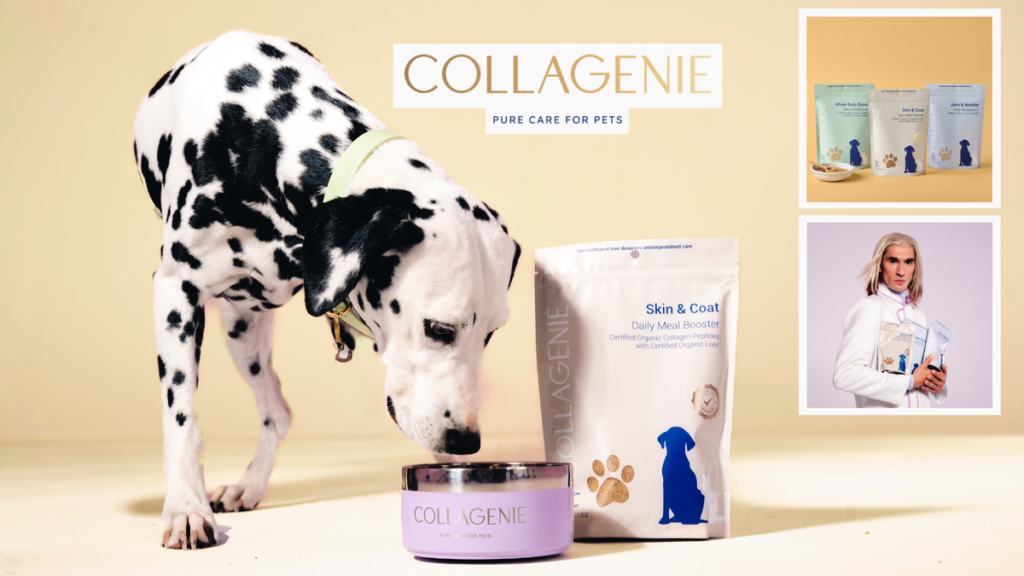 El colágeno para mascotas ya existe: los compradores confían en
