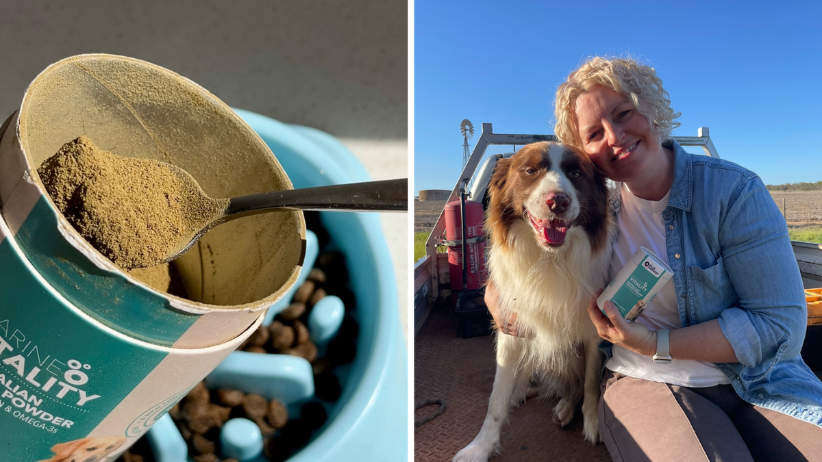 El mejor complemento alimenticio para mascotas: los propietarios dicen que