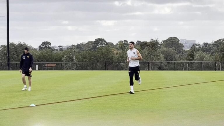 Hay preocupaciones sobre el co-capitán de Hawthorn, Jay Newcombe, antes