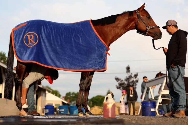Kentucky Derby : numéros de course complets, cotes mises à jour,
