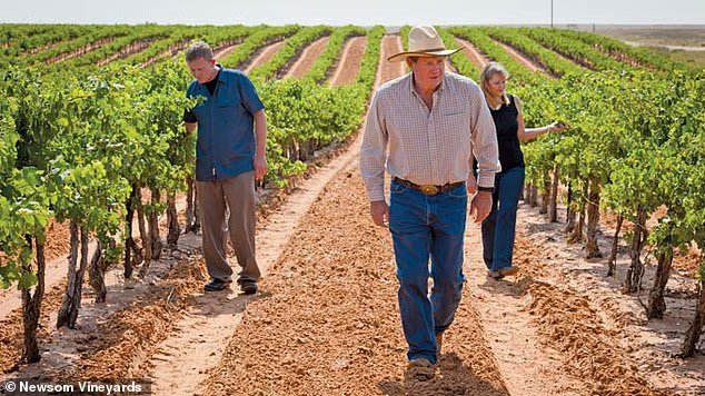 L'État rouge de Napa : des initiés révèlent la ville
