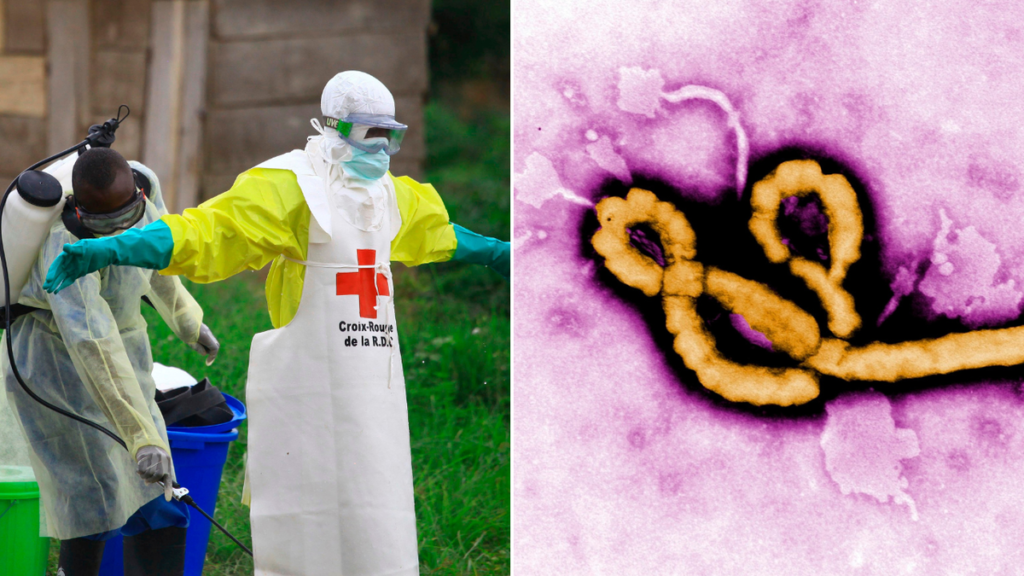 La OMS declaró el brote de ébola una emergencia sanitaria