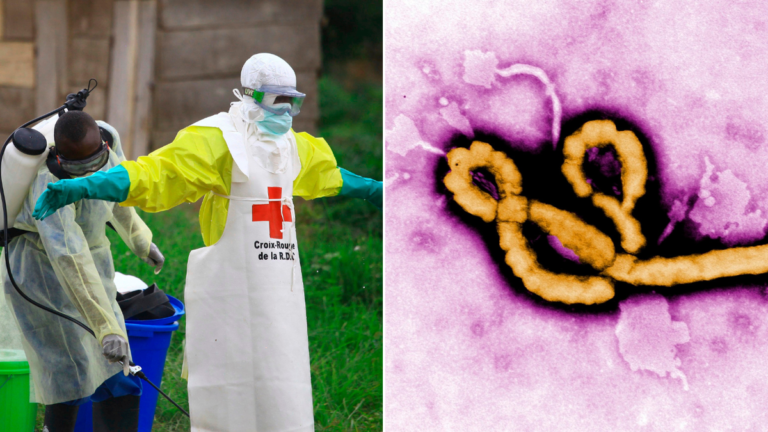 La OMS declaró el brote de ébola una emergencia sanitaria