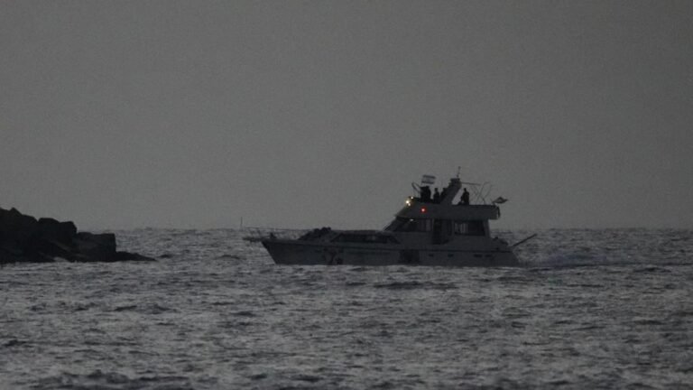 Las fuerzas israelíes interceptaron una flotilla con destino a Gaza