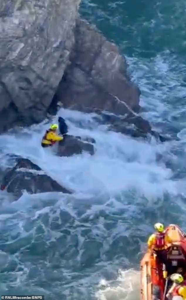 Le moment où un Labrador échoué a été sauvé après
