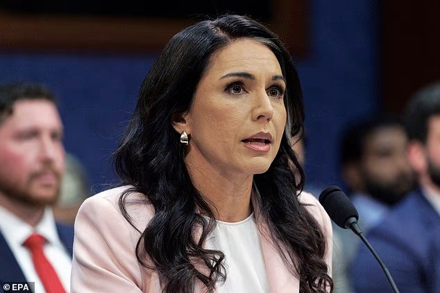Le parcours fou de Tulsi Gabbard, de star démocrate à