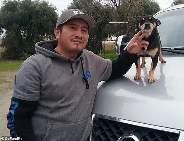 L'identité choquante du conducteur tueur qui a frappé un homme,