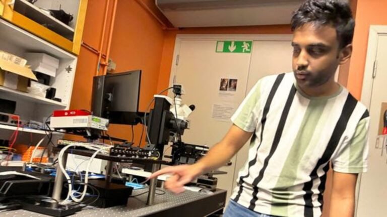 Los científicos construyen un chip cuántico que convierte las fugas