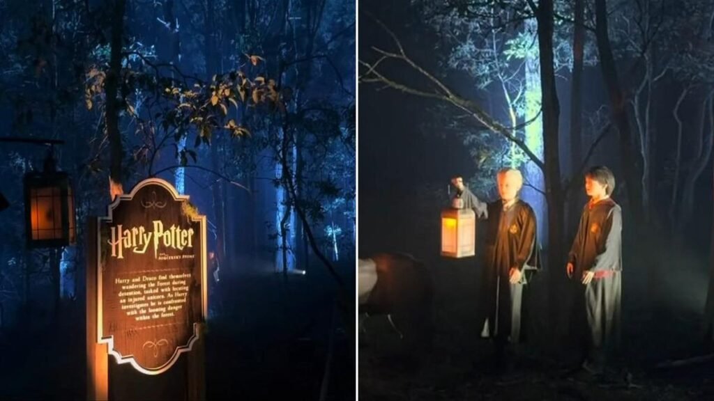Los trabajadores que organizan la experiencia del Bosque Prohibido con
