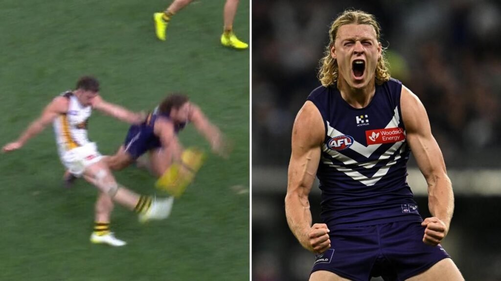 Luke Jackson elogiado por sofocar 'salvar partidos' como Fremantle como