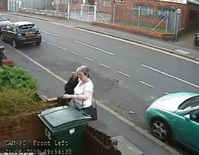 Mary Bale, « Cat Bin Lady », a été vilipendée