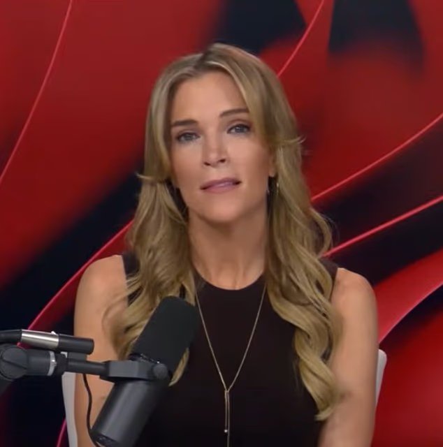 Megyn Kelly partage une théorie effrayante sur la raison pour