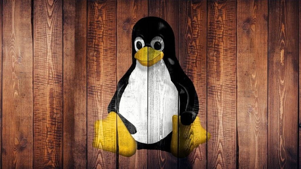 Otro problema importante de seguridad de Linux descubierto: la nueva