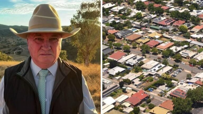 Presupuesto federal 2026: Barnaby Joyce de One Nation ataca al