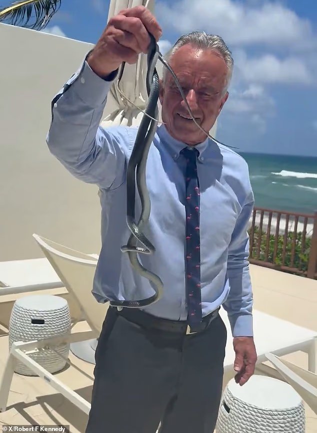 RFK Jr attrape deux SERPENTS à mains nues alors que