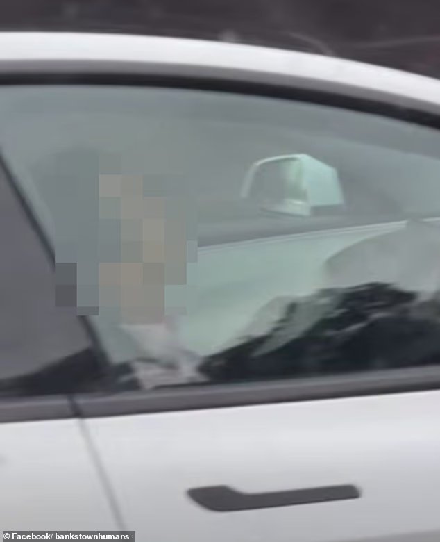 Sydney : un homme filmé profondément endormi au volant d'une