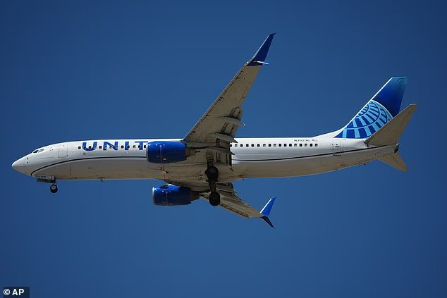 Terreur dans l'air alors que les passagers soulèvent des «
