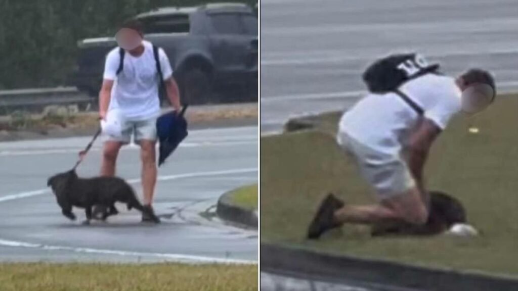 'Tirando, asfixiando, pateando': las denuncias de crueldad hacia perros provocan
