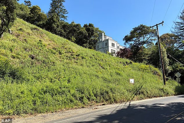 Un couple californien qui a abattu illégalement des arbres a