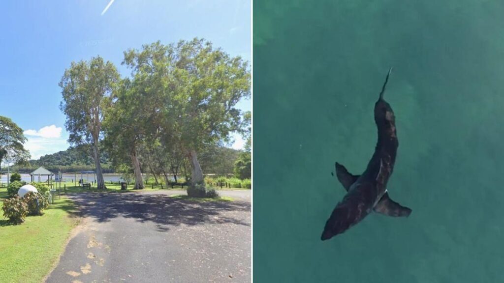 Un hombre muere tras el ataque de un tiburón en