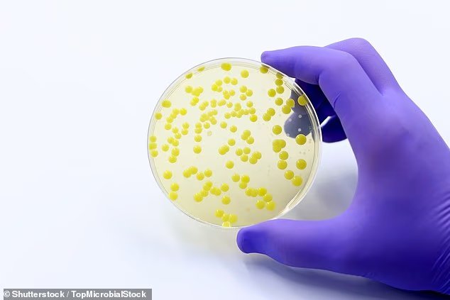 Une mystérieuse épidémie bactérienne a rendu des dizaines de personnes