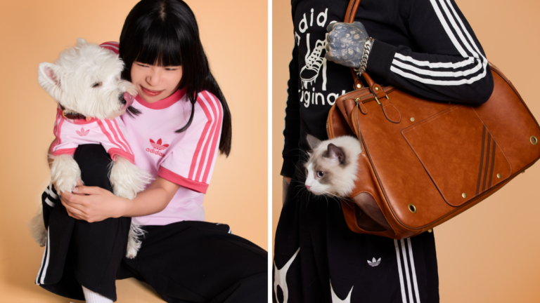 adidas lanza la primera gama para mascotas con transportines, ropa