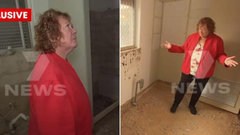 $54,000 de pago inicial, sin baño: la abuela, la última