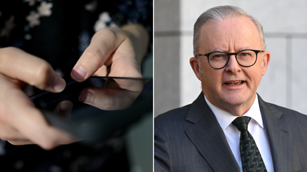 Albanese acogió con satisfacción las importantes correcciones de seguridad infantil