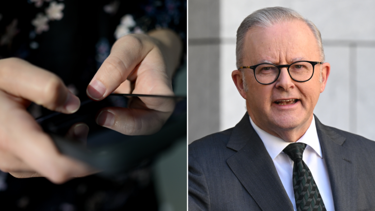 Albanese acogió con satisfacción las importantes correcciones de seguridad infantil