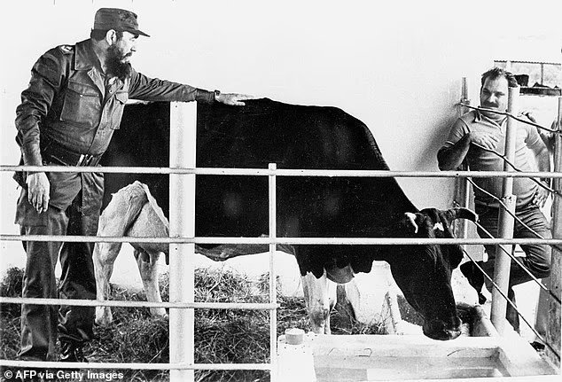 Comment Fidel Castro a tenté de recruter la scientifique Dolly