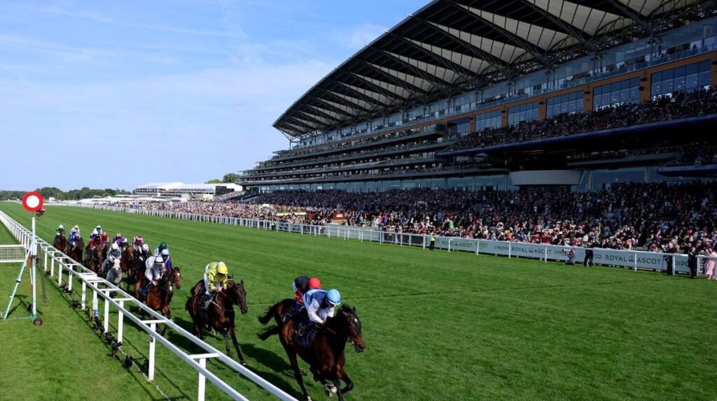 Cómo ver Royal Ascot en vivo y gratis en Seven