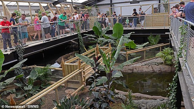 Dans l'horreur d'un zoo du Cambridgeshire : le cri perçant que