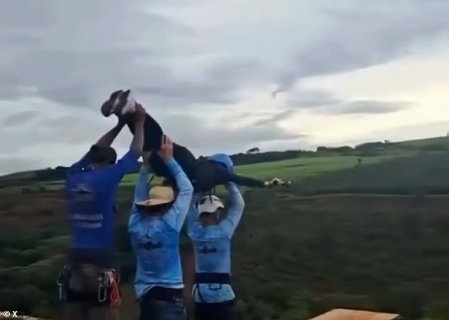 Des travailleurs du saut à l'élastique au visage de pierre