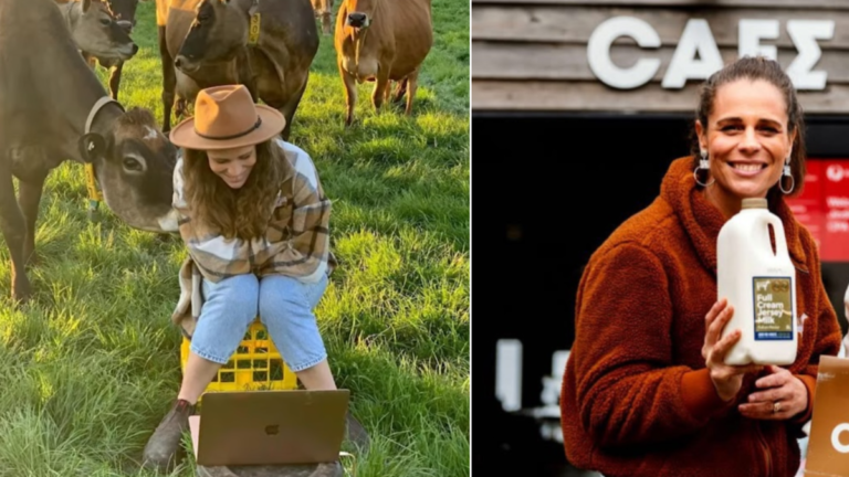 Desde los puestos del mercado de agricultores hasta la mejor